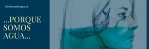 Andalucía PORQUE SOMOS AGUA... 1 300x100 - Andalucía